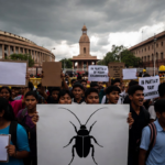 Young students demonstrating near a government building, with one holding a banner showing the Cockroach Janta Party symbol. Image. Representational image